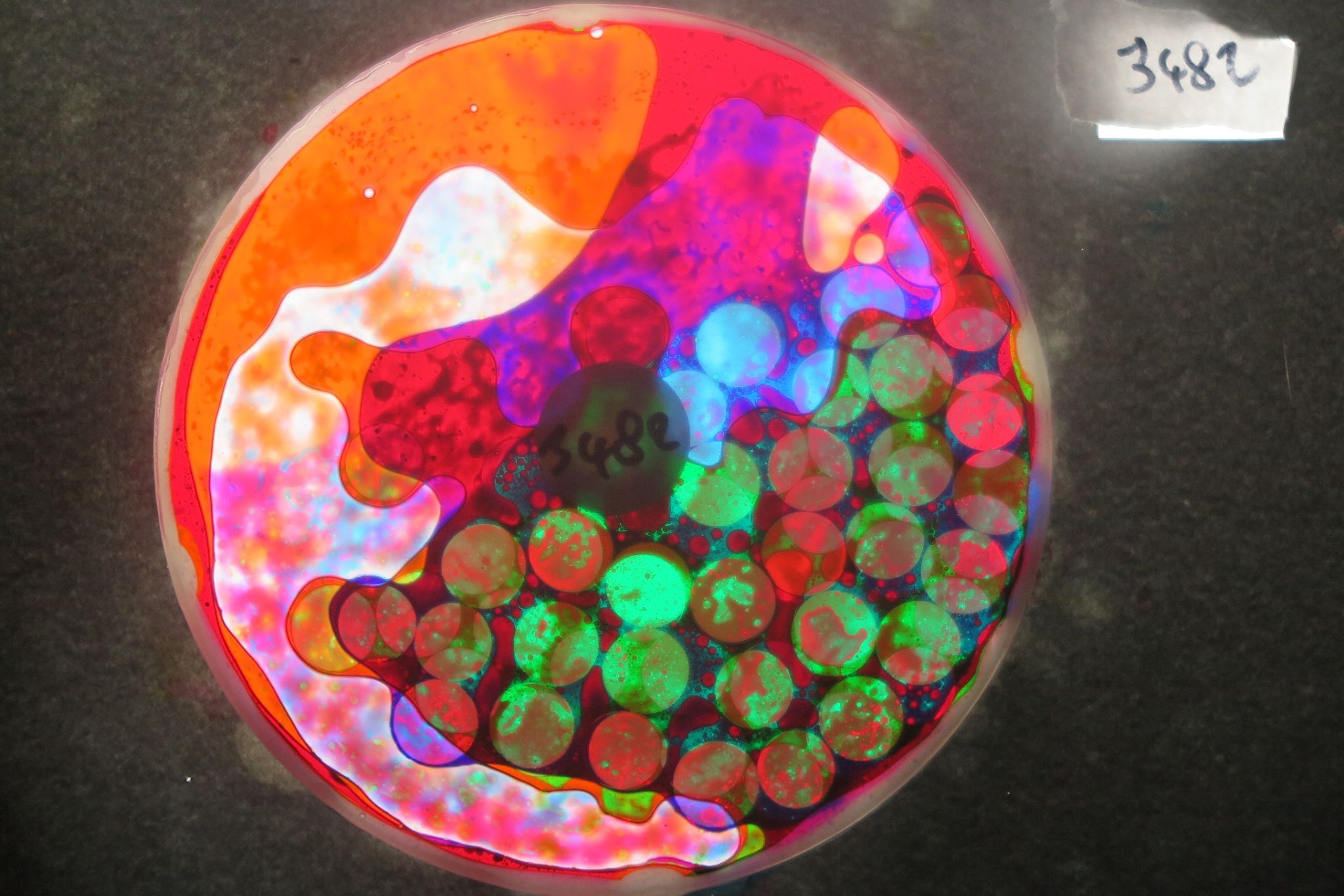 BV3482 bubble vision oil wheel